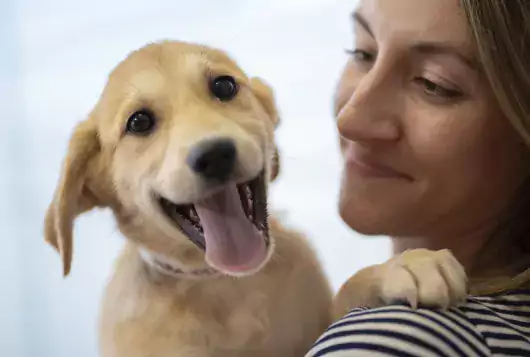 woman smiles at tan puppy