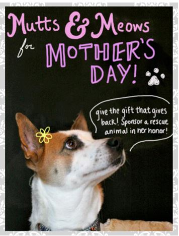 Happy Mother's Day! - The Good Shepherd Community