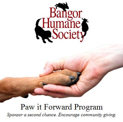 androscoggin humane society essays Free humane papers, essays, and research papers my account taking a brief look the humane society - humane society the humane society is a. androscoggin humane society essays Free humane papers, essays, and research papers my account taking a brief look the humane society - humane society the humane society is a.