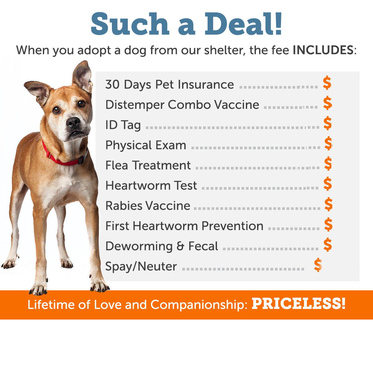Posters and Shareable Graphics that Show the Financial Benefits of Adopting  Shelter Dogs and Cats | ASPCApro