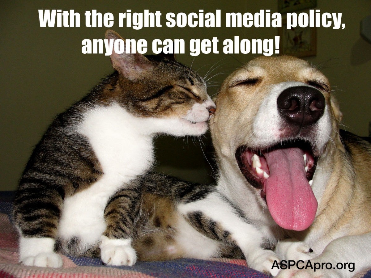 Facebook Basics 3 Things To Include In Your Comment Policy ASPCApro