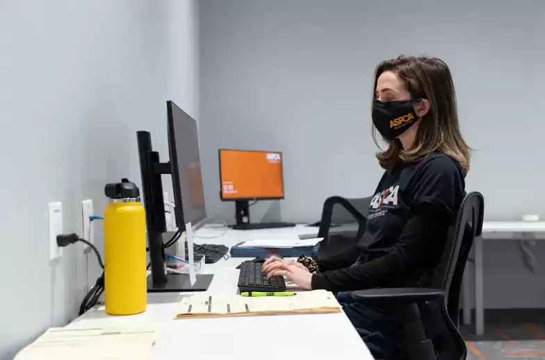 Person wearing ASPCA branded mask and jacket sitting at desk in front of computer monitor