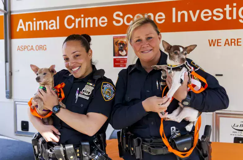 two NYPD officers holding two dogs