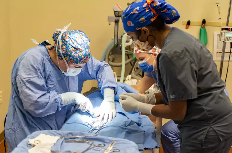 Three people in scrubs performing surgery 
