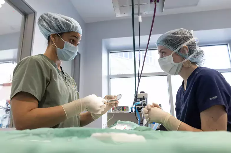 Two medical clinicians perform surgery wearing masks, nets, and scrubs 