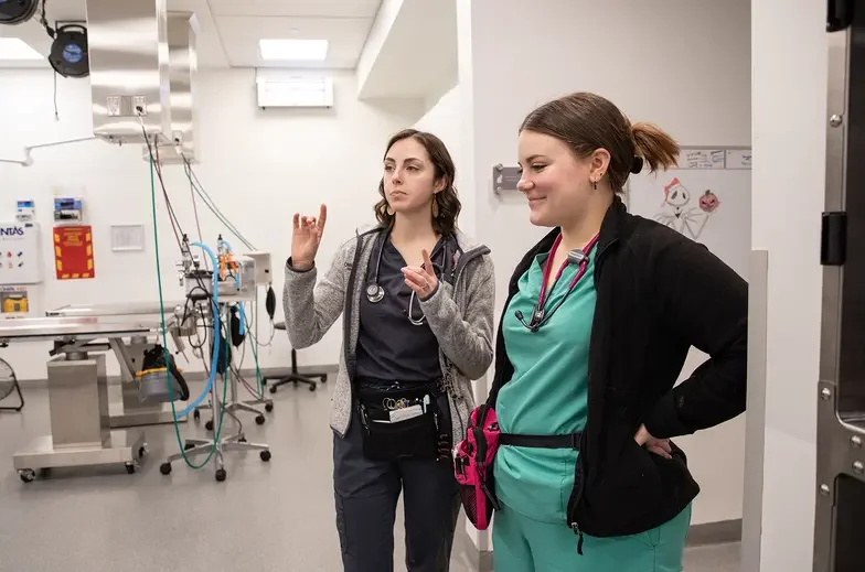 Two medical clinic staff stand in the exam room having a lively discussion