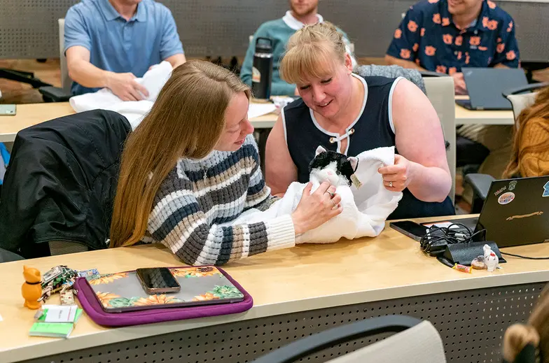 Veterinary students sit at a desk in a large room learning various animal techniques