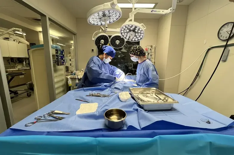 Medical staff performing surgery 