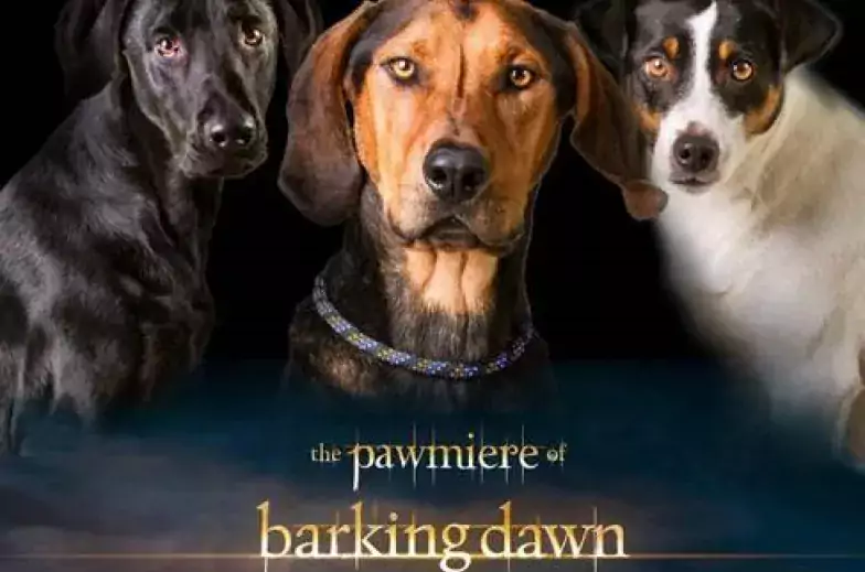 dogs on promo poster parody of breaking dawn