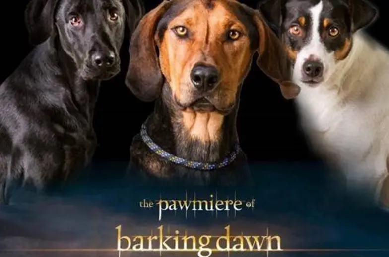 dogs on promo poster parody of breaking dawn