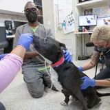 Three people on the floor in doctor's office with a black dog