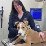 forensics vet posing with light brown and white dog