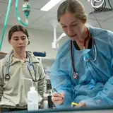 Intern watching a doctor in scrubs