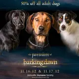 dogs on promo poster parody of breaking dawn