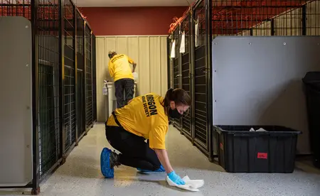 two shelter staff clean the kennel floor and walls