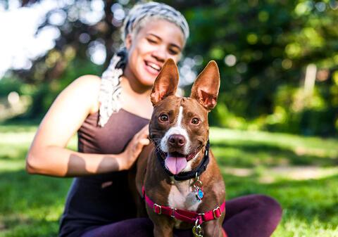 woman and dog on grass in the sun
