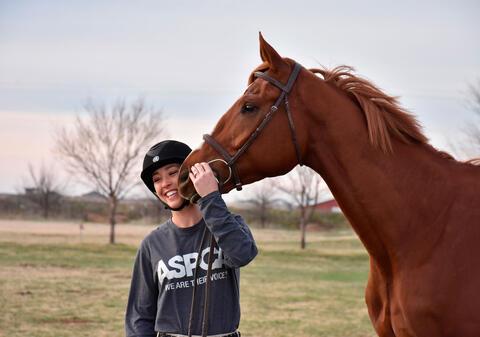 woman smiles with brown horse