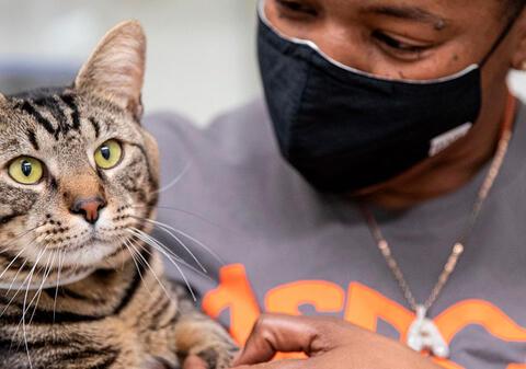 woman in aspca tee holding cat's paw gently