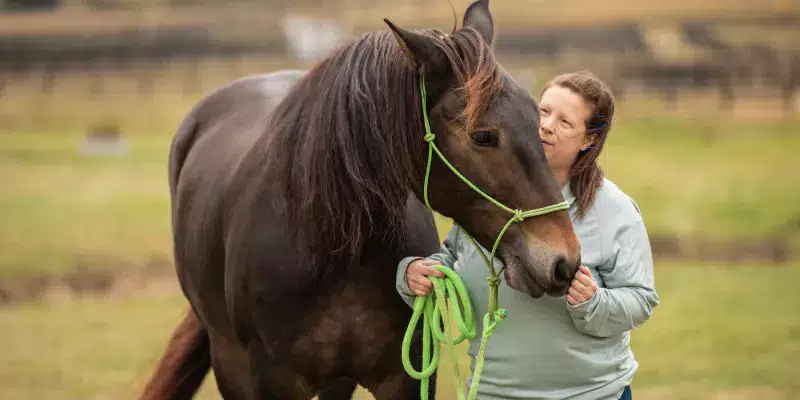 a woman in a green sweatshirt stands on green pasture with a brown horse