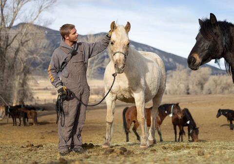 A man in coveralls stands petting a white horse in a field
