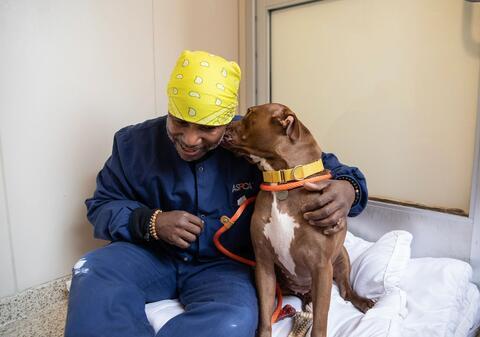Man in kennel with dog getting kisses
