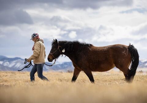 Woman walking in front of a brown horse with mountains in the background