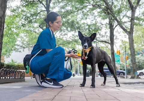Woman in scrubs knealing next to a black dog outside