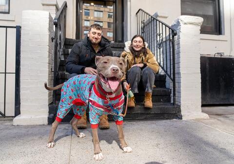 A man and a woman sitting on a stoop behind a medium sized brown dog 
