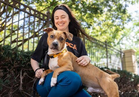 ASPCA Staff sitting on a bench outside holding a brown dog