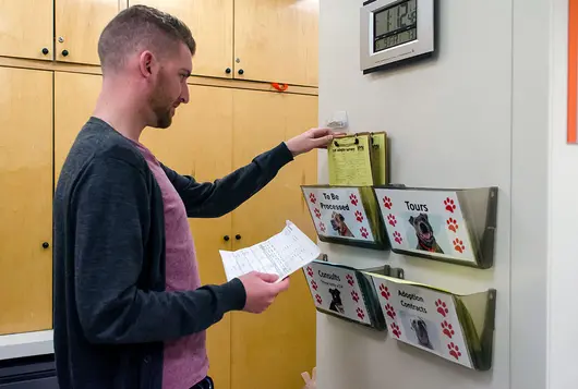 staff looking at files in animal shelter