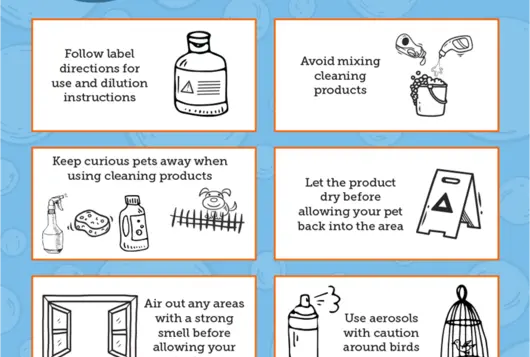 illustration of various safety tips