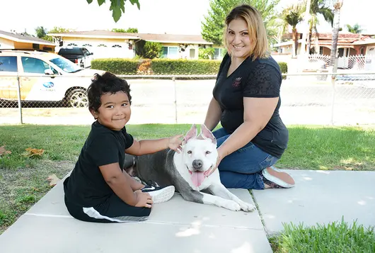 woman and child outdoors with pit type dog