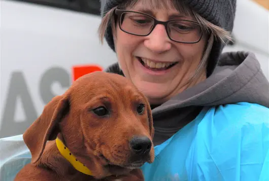 transport staff holding puppy