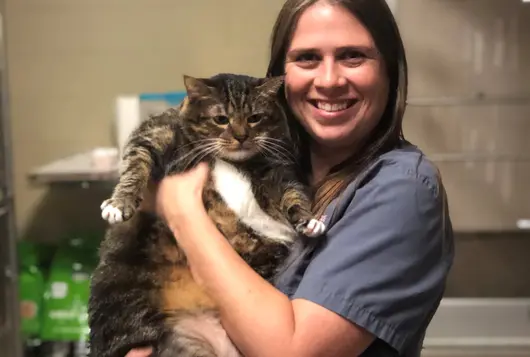 courtney with a large cat