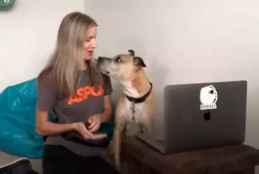 renee and dog with laptop