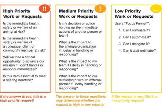 3 questions from the decision-making cheat sheet