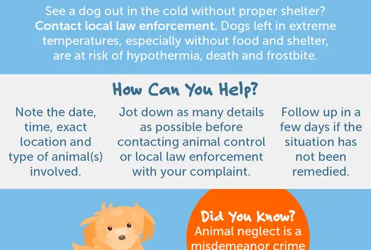 cold weather tips graphic