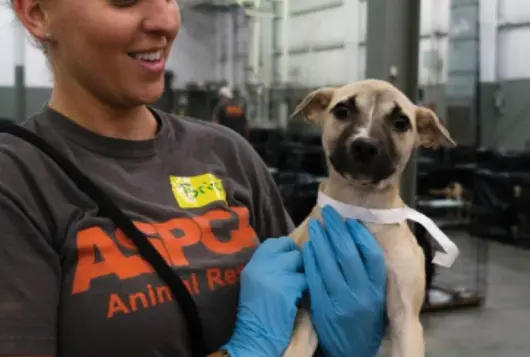 Brit Harmon holds a puppy