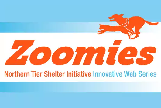 zoomies square orange and blue logo