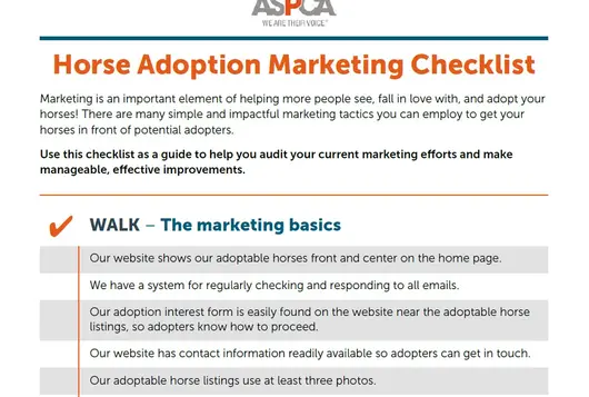 horse marketing checklist screenshot