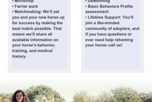 graphical benefits list for horse adoption