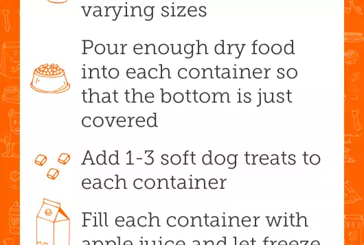 full text of dog enrichment icies recipe