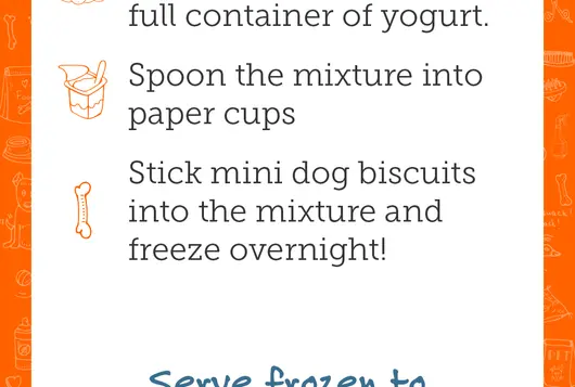 Dog treat and enrichment recipes