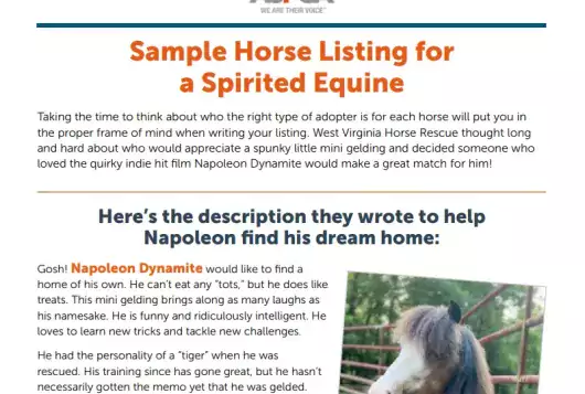 screenshot of the sample horse listing download
