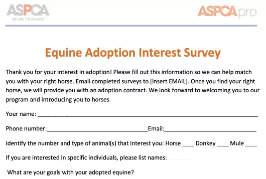 first few lines of the equine adoption survey document