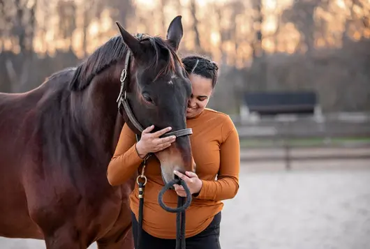 person in yellow sweater hugs horse snout