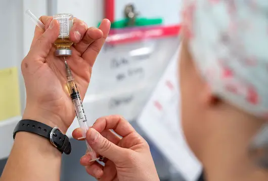 vet staff holds syringe with baggie in clinic setting