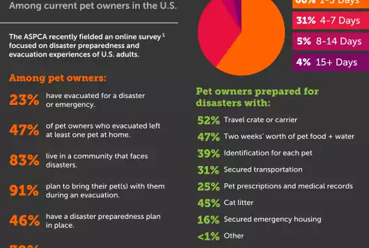 full color infographic showing the results of the ASPCA's disaster preparedness survey