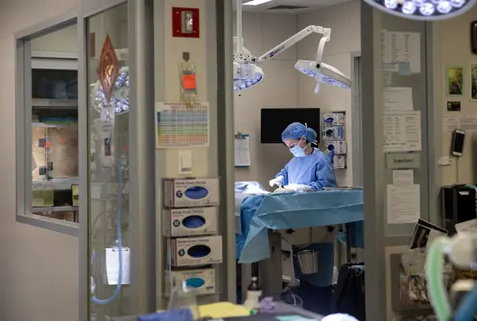 Doctor in wearing scrubs in surgery