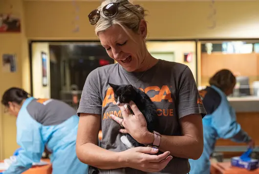 Woman wearing ASPCA rescue shirt holding a black kitten 